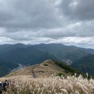 대중교통을 이용한 은빛억새축제 정선 민둥산⛰️