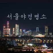 서울야경명소 상암 하늘공원 feat.억새축제