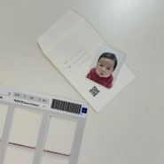 신생아 셀프 여권사진으로 여권 만들기!
