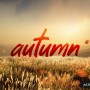 [Getty NOW] 10월 랜선 가을 나들이!