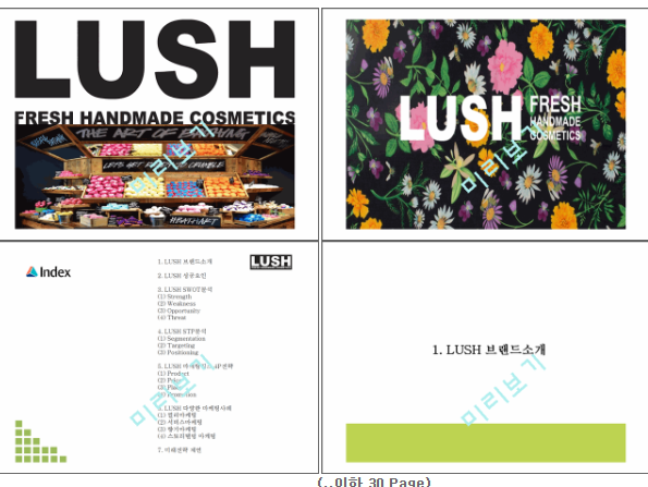 LUSH 러쉬 브랜드 성공요인과 마케팅 SWOT,STP,4P전략과 LUSH 다양한 마케팅사례연구및 LUSH 미래전략제언 PPT ...