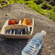 전쟁뉴스를 들으며 충무김밥을 먹고있다 (10월 셋째주 등산주간, 2일차!)