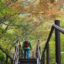 [등산]가을 설악산 토왕성폭포 전망대