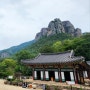 청송_ 경북여행 청송여행 주왕산국립공원 국내사찰 `대전사