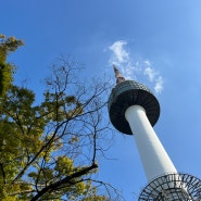 청명한 가을 하늘! 대한민국 가장 높은 돈가스 맛집! 부엉이돈가스 남산타워점!