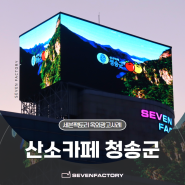 [산소카페청송군] 대전역 은행동일대 옥외전광판 4면노출 건물광고