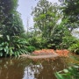 [싱가포르] 무스타파, 주롱새공원(현 버드 파라다이스)