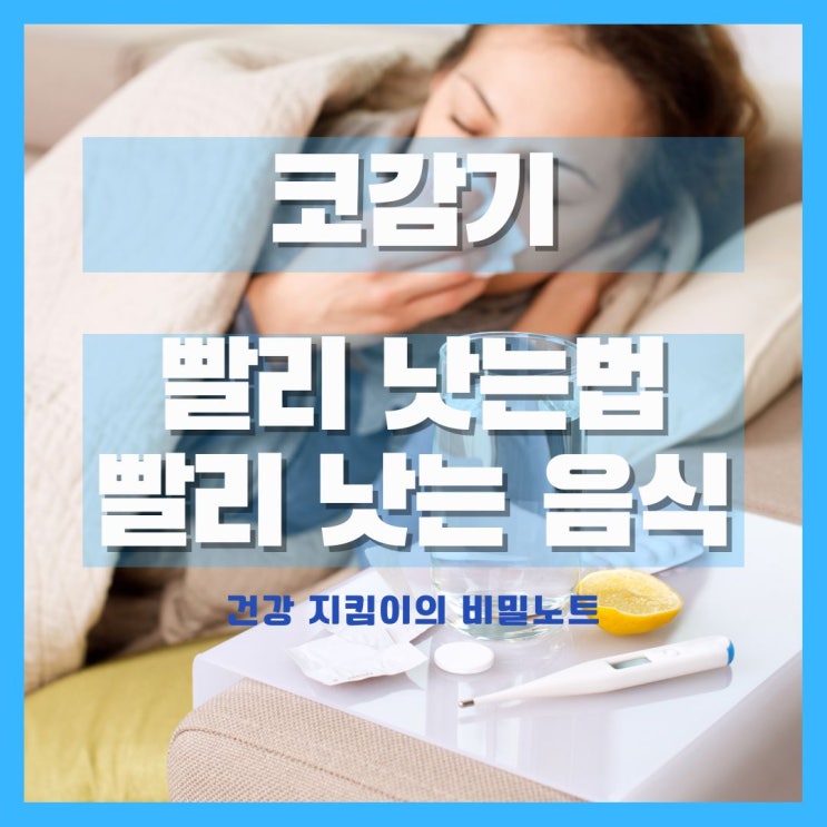 코감기 빨리 낫는법, 코감기 빨리 낫는 음식 : 네이버 블로그