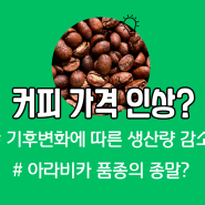 기후변화에 따른 커피 가격 인상, 아라비카 커피 원두 생산량 감소 분석