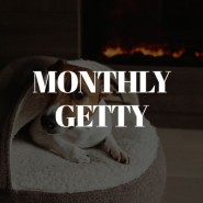 [Monthly Getty] 게티이미지가 추천하는 11월의 키워드 이미지! (가을 스포츠, 블랙프라이데이, 김장, 겨울)