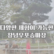 대구 근교 다양한 놀이와 승마체험으로 알차게 보낼 수 있는 창녕우포승마장