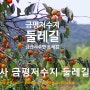 힐링트레킹 금산사 금평저수지 둘레길 good walking trail, healing place in Korea