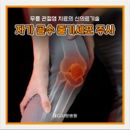 [마디사랑병원] 무릎 관절염 자가 골수 줄기세포 주사치료