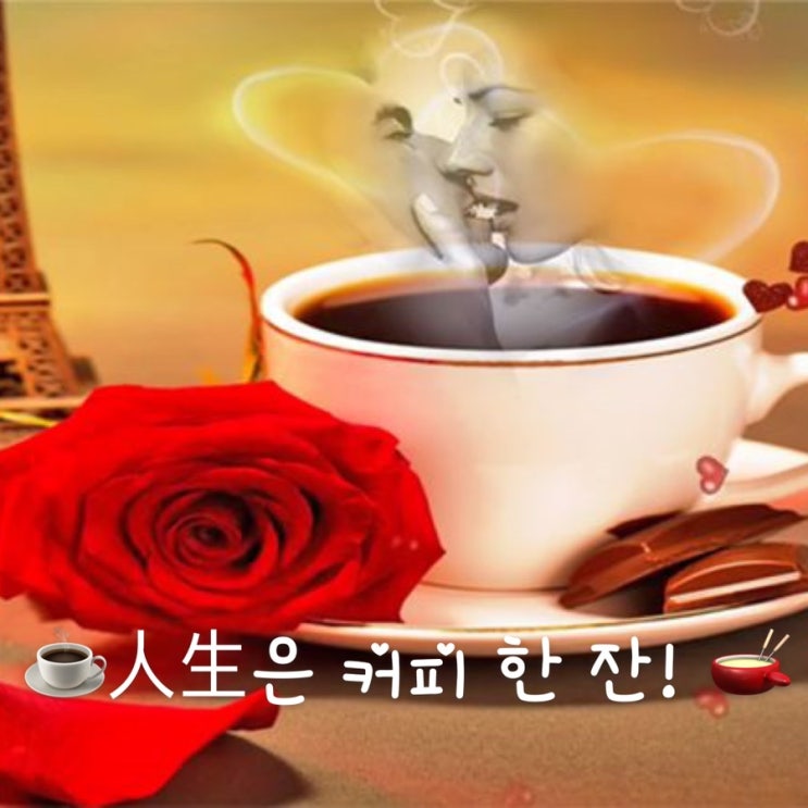 ☕️人生은 커피 한 잔! 🫕 : 네이버 블로그
