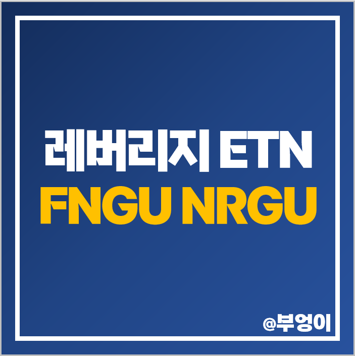 미국 3배 레버리지 ETF ETN FNGU NRGU 주가 구성 주식 종목 : 네이버 블로그