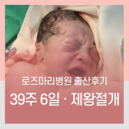 2024-5 출산후기 :: 안은*님의 로즈마리병원 제왕절개 분만 후기 (임신 36주 6일/ 박인해 원장)