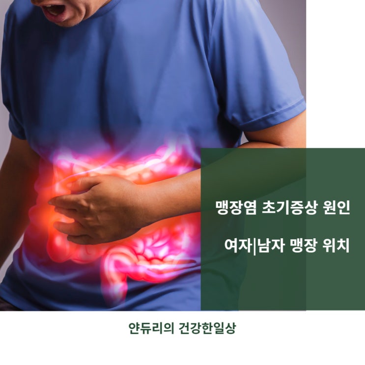 맹장염 초기증상 원인 / 여자|남자 맹장 위치 다르다고? : 네이버 블로그
