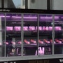 경주 드라이에이징 소고기 구입가능한 천년한우 프리미엄 판매장
