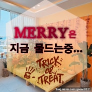 (오션브릿지키즈풀빌라/드림키즈풀빌라) "MERRY 메리동은 지금 할로윈 준비중"