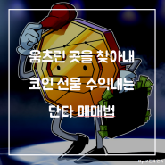 움츠린곳을 찾아내 코인 수익내는 매매법 (Feat. 룸네트워크 코인)