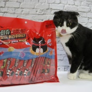 고양이츄르 기호성 좋은 고양이짜먹는간식 야미츄 참치버라이어트