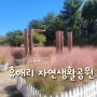 [제주도여행]핑크뮬리 명소 서귀포 [휴애리 자연생활공원]