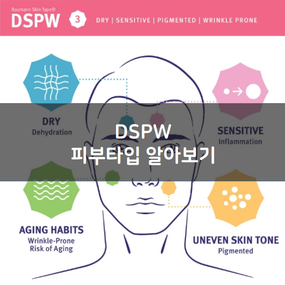 3. DSPW : 특징, 장단점, 관리법, 권장 성분, 추천 화장품 [피부MBTI] : 네이버 블로그