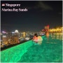 싱가포르 호텔 마리나베이샌즈 mbs 수영장 야경 / 가든뷰 타워3 / 기념일케이크