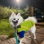 강아지겨울옷 :: 도톰해서 따뜻한 '니즈더펫 덤블 후리스'