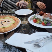 양재천 산책(토이푸들,브리티쉬 고양이)&캐틀앤비 돈갈비 스테이크,피자 맛집