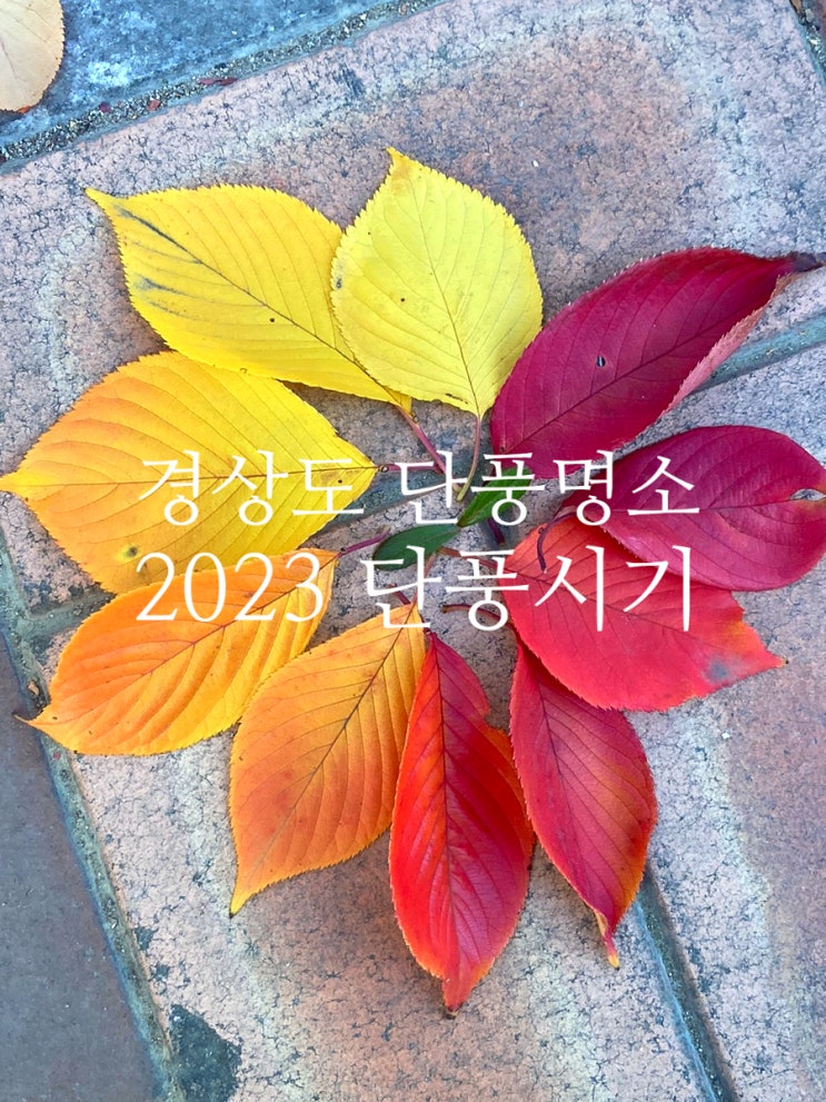 경상도 단풍 명소 추천 전국 단풍시기 : 네이버 블로그