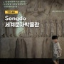 인천 송도 아이와 가볼만한 실내박물관 국립세계문자박물관 입장료