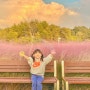 함안 가을여행 추천코스 핑크뮬리 코스코스 노을이 아름다운 함안 악양생태공원 (2023년 10월 14일 방문기)