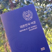캐나다 단기 어학연수 ep.0 준비: 여권 발급하기 (ft. 전주 여권 발급 기간)