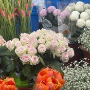 다양한 생화를 만날 남대문꽃시장 영업시간, 꽃상가 주차 팁