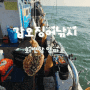 서해 배낚시 회변항 갑오징어 낚시 양파호 타고 왔습니다.