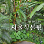 서울 근교 나들이 실내 데이트로 딱인 마곡 서울식물원