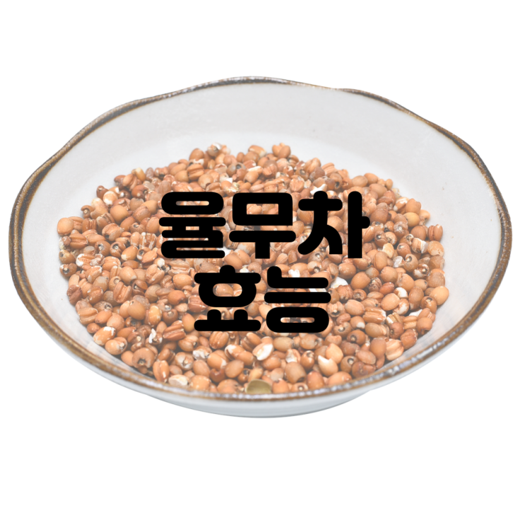 율무차 효능과 칼로리는 어떻게 될까? : 네이버 블로그