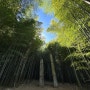 부산 기장 가볼만한 곳, 아홉산숲(아이어린이집 가을소풍)