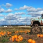 캐나다 동부 여행-트루로#1_호박 농장 핼러윈 펌킨 유픽Blake's Pumpkin Jungle