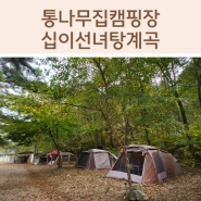 강원도 인제 글램핑 통나무집 캠핑장 십이선녀탕계곡 (ft. 등산로, 계곡 입구컷 가능)