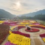 [강원 인제][10월지역축제] 2023 인제에서 꽃길만 걷자 인제 꽃축제 & 인제 합강문화제