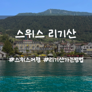 스위스패스로 그린델발트에서 리기산까지 후기