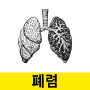 폐렴 증상 원인 진단 및 검사에 대해 알아보자
