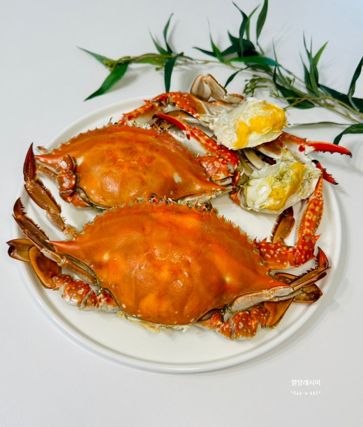 꽃게찜 꽃게 찌는법 찌는시간 활 꽃게 손질법 신안 가을꽃게 암꽃게 요리 : 네이버 블로그