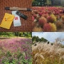 [수원역데이트] 지오그라피 도장만들기 & 탑동시민농장 댑싸리 꽃구경