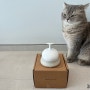 두잇 소프트 브러쉬 고양이 실사용 후기 ( 중 / 단모 )