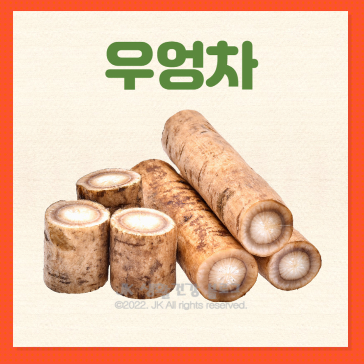 우엉차효능 효과 및 우엉차 부작용 : 네이버 블로그