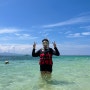 31주 임산부 코타키나발루 여행 :: 제셀톤포인트 섬투어 후기 (feat. 마무틱섬)