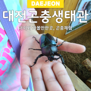 대전 아이와 가볼만한곳 대전곤충생태관에서 곤충체험